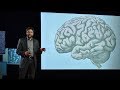 How your brain decides what is beautiful | Anjan Chatterjee