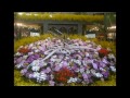 Come fly with me/葉加瀬太郎　世界らん展日本大賞2013