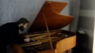 Treatise Session Girls