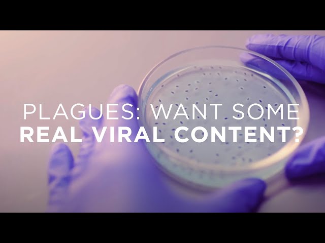Watch Plagues: want some real viral content? on YouTube.