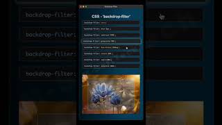 Learn Css Background Filter Property