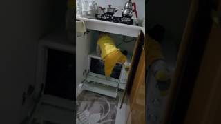 Sarı Kuş Eymen 2