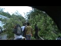 bus de brasilia atrapado por arbol bus de brasilia atrapado por arbol