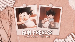 Gon Freecss Twixtor Hunter X Hunter 1080P No Cc