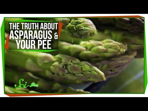 Truth About Asparagus And Your Pee Truth About Asparagus And Your Pee