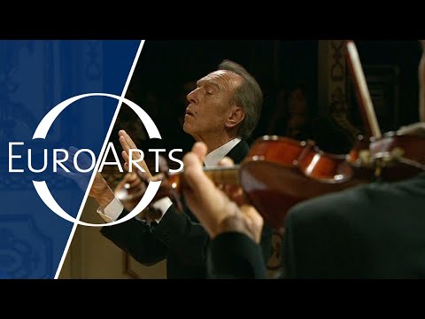 bach brandenburg concerto no 5 in d major analysis bach brandenburg concerto no 5 in d major analysis