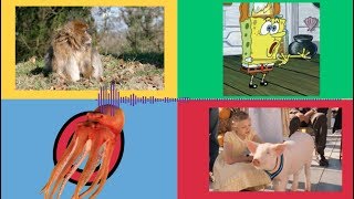 Phonics Song Kidzstation