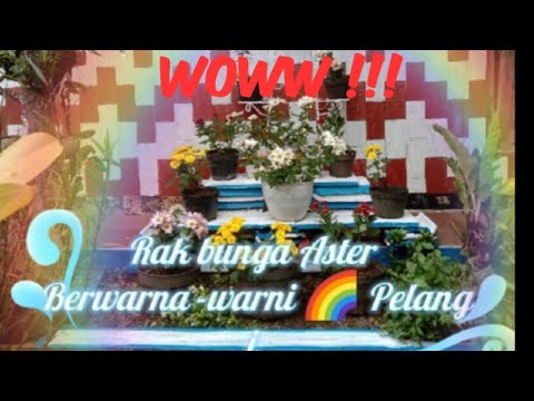 Proses rak bunga Aster berwarna dengan barang bekas/ How to make a Daisy Rack with used materials