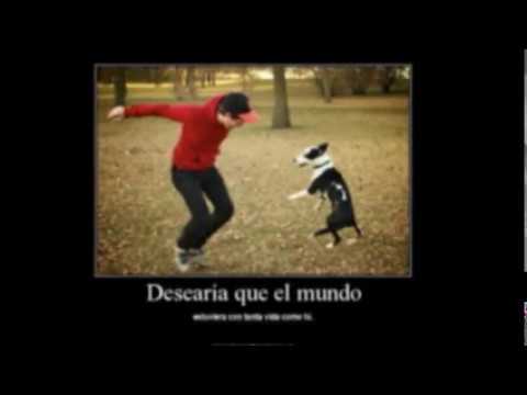 VIDEOS DE REGGAETON DE WISSIN Y YANDEL videos de reggaeton de wissin y yandel: