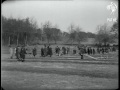 Powerscourt Ploughing Competition (1923)