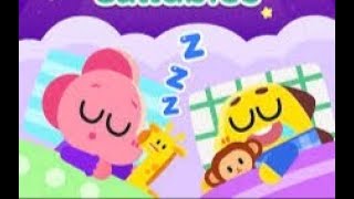 Live Cocobi Good Night Chaos Coco Wears Socks On His Head? Mahrukhjahanzaib9648