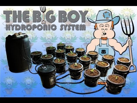 Class 5 Ebb And Flow Hydroponic System 12 Plant Pot Site Bucket HTG ...