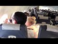 Snake on Qantas Plane - Original