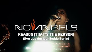 Watch No Angels Thats The Reason video