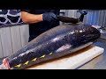 World's Sharpest Tuna Knife！Superb yellowfin Tuna cutting skill, Luxurious sashimi / 最鋒利的刀！黃鰭鮪魚切割技能
