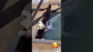 Just Hanging By The Pool And Oooopsy Then A Big Oops