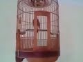Kicau Burung Anis Merah Teler The King Kobra