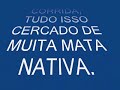 CURITIBA