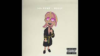 #REVERSED Lil Pump Molly