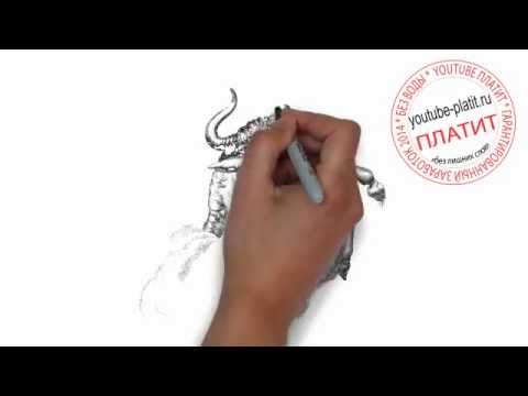 Как нарисовать знаки зодиака карандашом поэтапно Как нарисовать знаки зодиака карандашом поэтапно