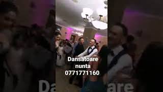 Dansatoare Nunta Dansatoare Orientale Dansatoare Din Buric 0771771160 Non-Stop