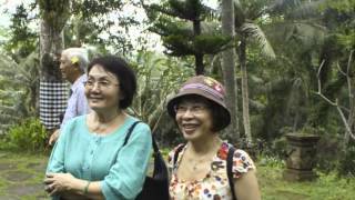Watch Cam Ly Phuong Buon video