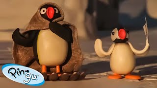 The Great Outdoors With Pingu Fisher-Price Cartoons For Kids