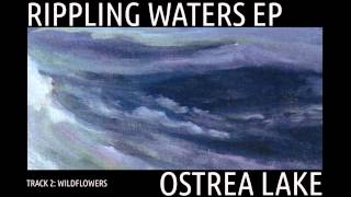 Watch Ostrea Lake Wildflowers video
