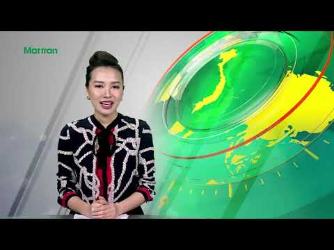 Watching video BAN TIN MAT TRAN SO 95