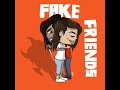 view Fake Friends