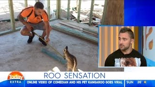 Australian Man That Has Kangaroo As Pet || Today Show Interview Australian Man That Has Kangaroo As Pet || Today Show Interview