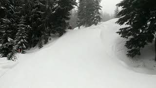 VASS Sit Ski at Mount Seymour