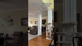 Goofy Warns Minnie That Mickey Mouse Is Cheating On Her