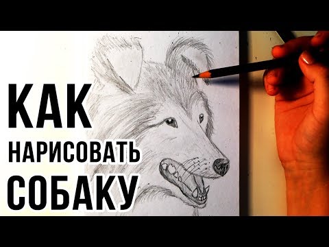 Прически своими руками на короткие волосы Поделки из пластиковых бутылок для сада, дачи. Детские