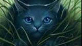Watch 9 Lives Blue video