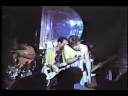 Still Stupid-blowfly