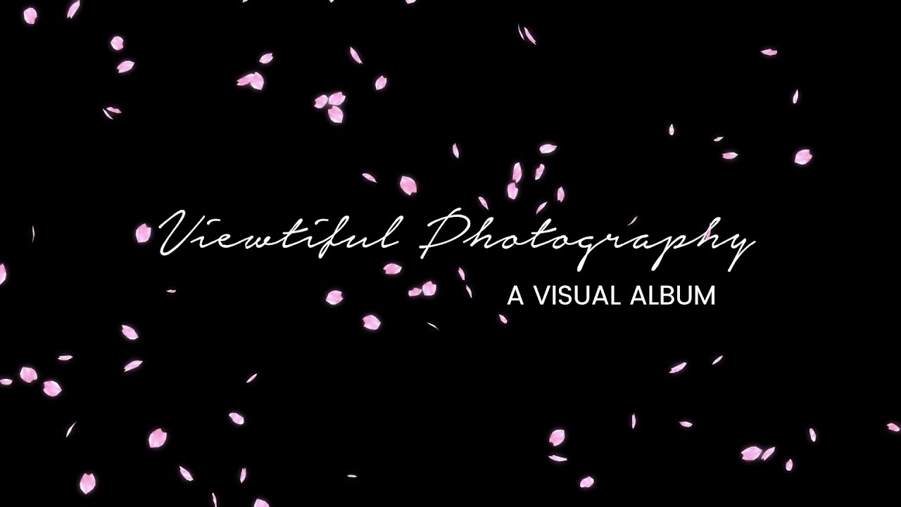 Instagram Branding