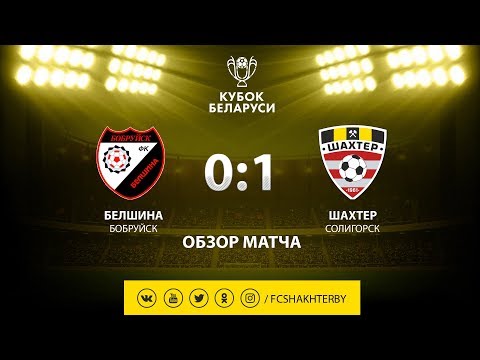 Кубок Беларуси. 1/4 финала. Белшина - Шахтер - 0:1 (15.03.2019)