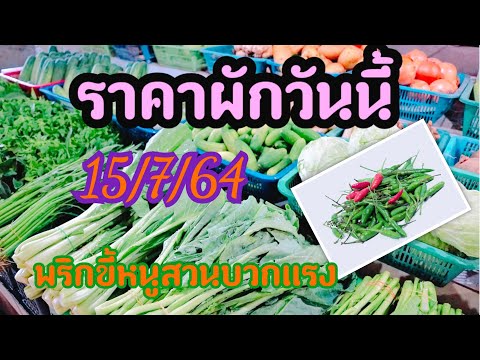 ราคาผักวันนี้15/7/64,ราคาขายส่งผักวันนี้,ราคาผักจากตลาดกลางสินค้าเกษตร