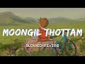 Moongil Thottam [Slowed+Reverb] -  Abhay Jodhpurkar, Harini | Kadal | Taal