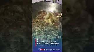 Due To Economic Limitations, A Mother Is Forced To Cook Caterpillars