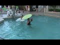 Bride Quynh Jumps in Pool / Key West Hyatt Wedding