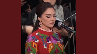 Rubab Afghani