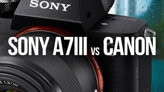 Sony A7Iii Vs Canon As A 1Dx Mark Ii Owner