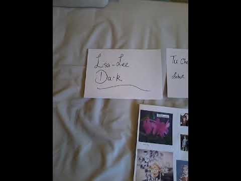 Tu Che Di Gel Sei Cinta Video