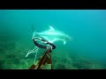 Pesca sub Roma Leccia 30kg.mov