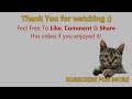 FUNNY VIDEOS: Funny Cats - Funny Cat Videos - Funny Animals - Cats Playing in Sinks Compilation klip izle