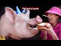 Animals ADOPTING Other Animal Species