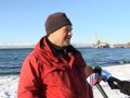 Серый кит по кличке Мухомор_Вести