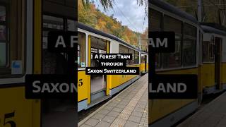 A Forest Tram Through Saxon Switzerland Kirnitzschtalbahn, Bad Schandau, Germany
